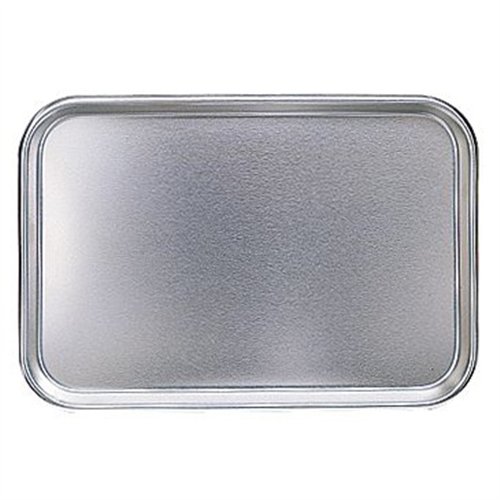 Stainless Steel Utility Tray (no holes)